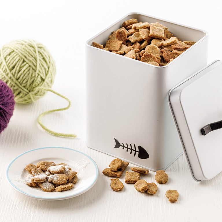 Gâteries aux sardines pour chats 5 ingredients 15 minutes