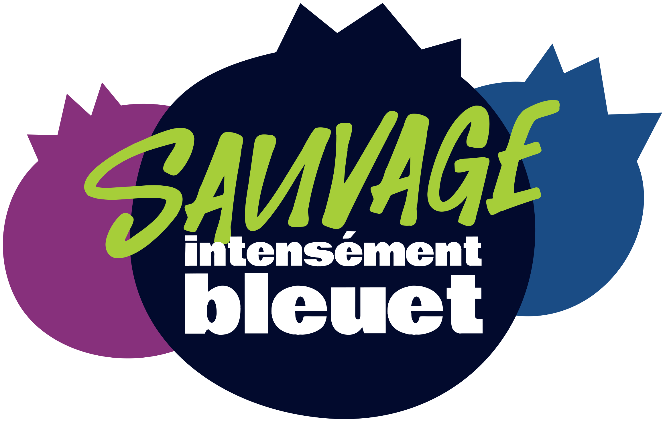 Producteurs bleuets sauvages