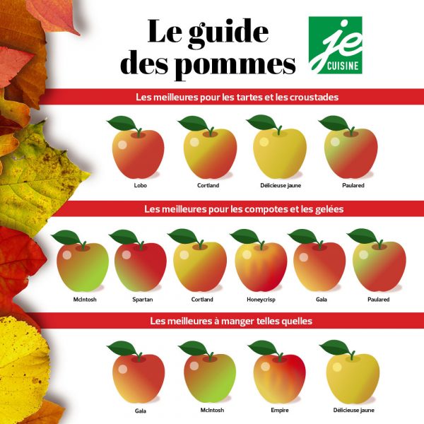 Quelle pomme utiliser pour mes recettes? Je Cuisine