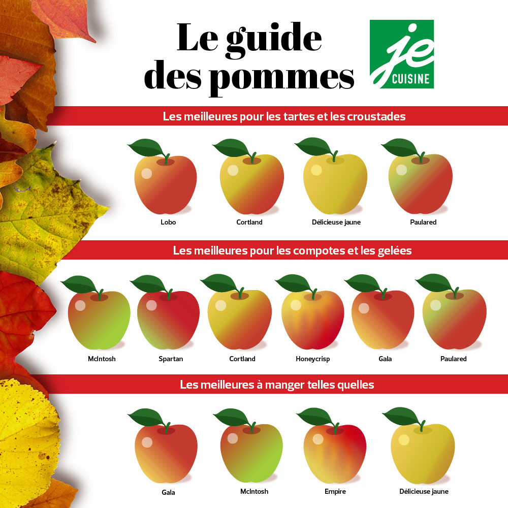 Tableau Des Types De Pommes Quelle Vari t De Pomme Pour Quel Usage Tableau Des Types De Pommes Quelle Vari t De Pomme Pour Quel Usage