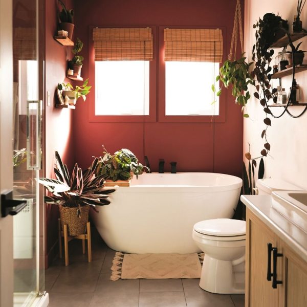L’art de décorer sa salle de bain avec des plantes