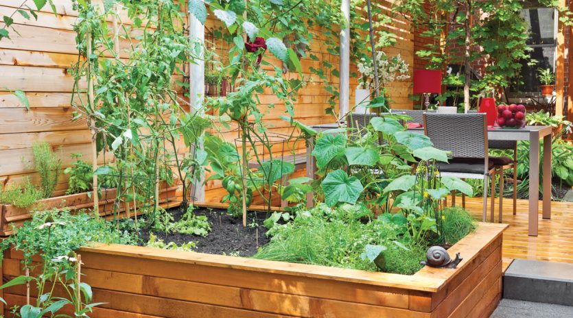10 astuces pour un potager pas compliqué