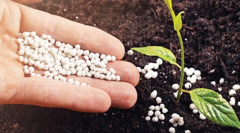Tout savoir sur les fertilisants
