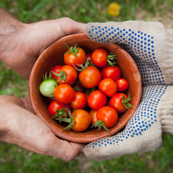 Une carrière en horticulture taillée sur mesure!