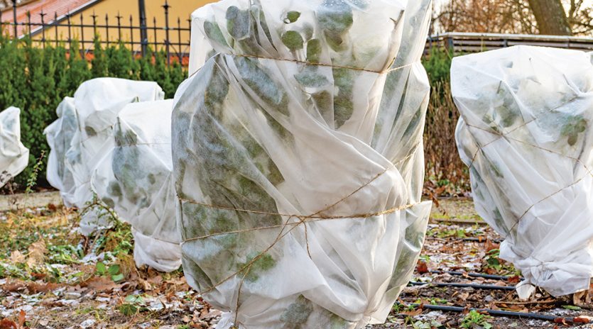 Protéger son jardin pour l’hiver