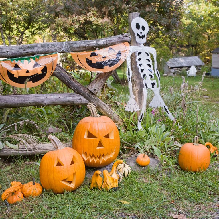 les-plus-beaux-d-cors-d-halloween-ext-rieurs-vus-sur-pinterest-je-jardine