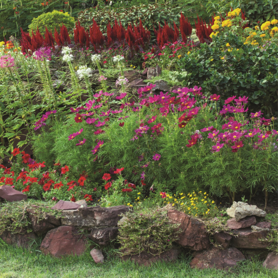 Comment concevoir des plate-bandes parfaites?