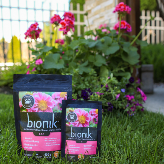 Semer la biodiversité depuis plus de 100 ans