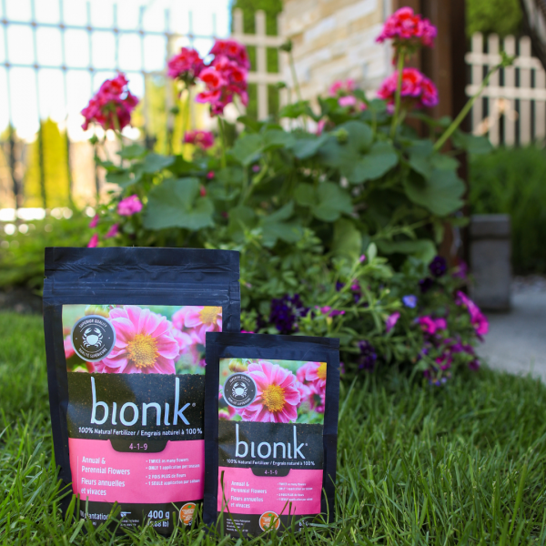 Semer la biodiversité depuis plus de 100 ans